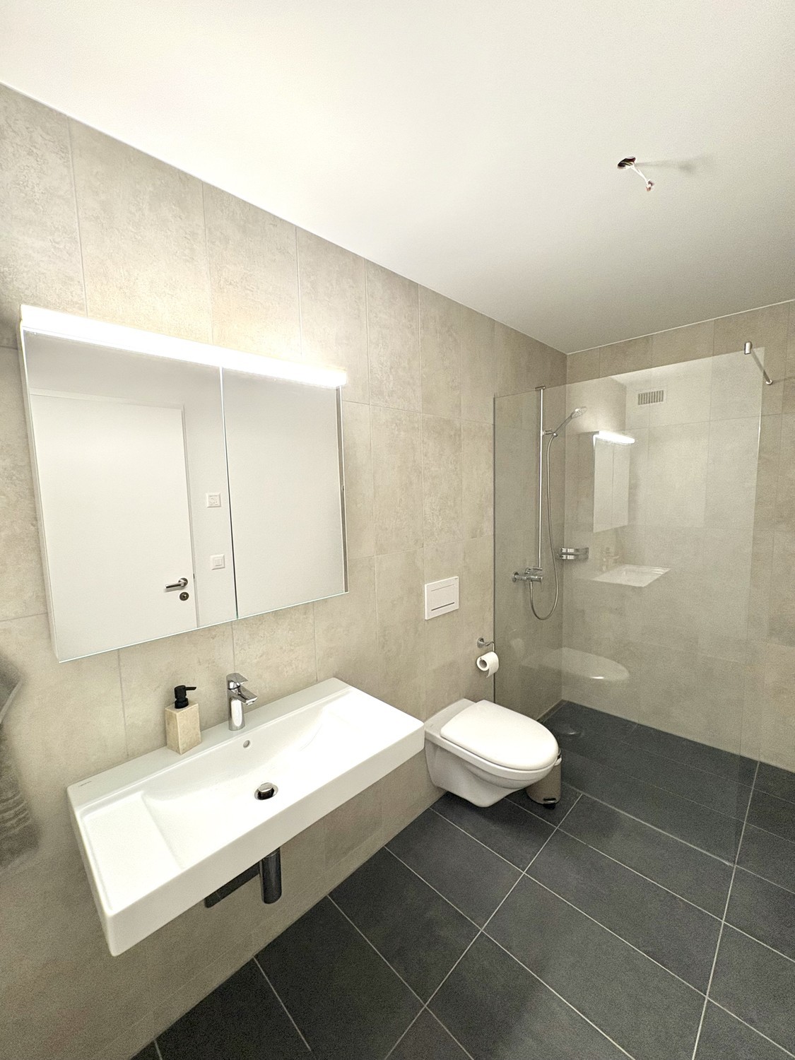 2 ½ rooms apartment