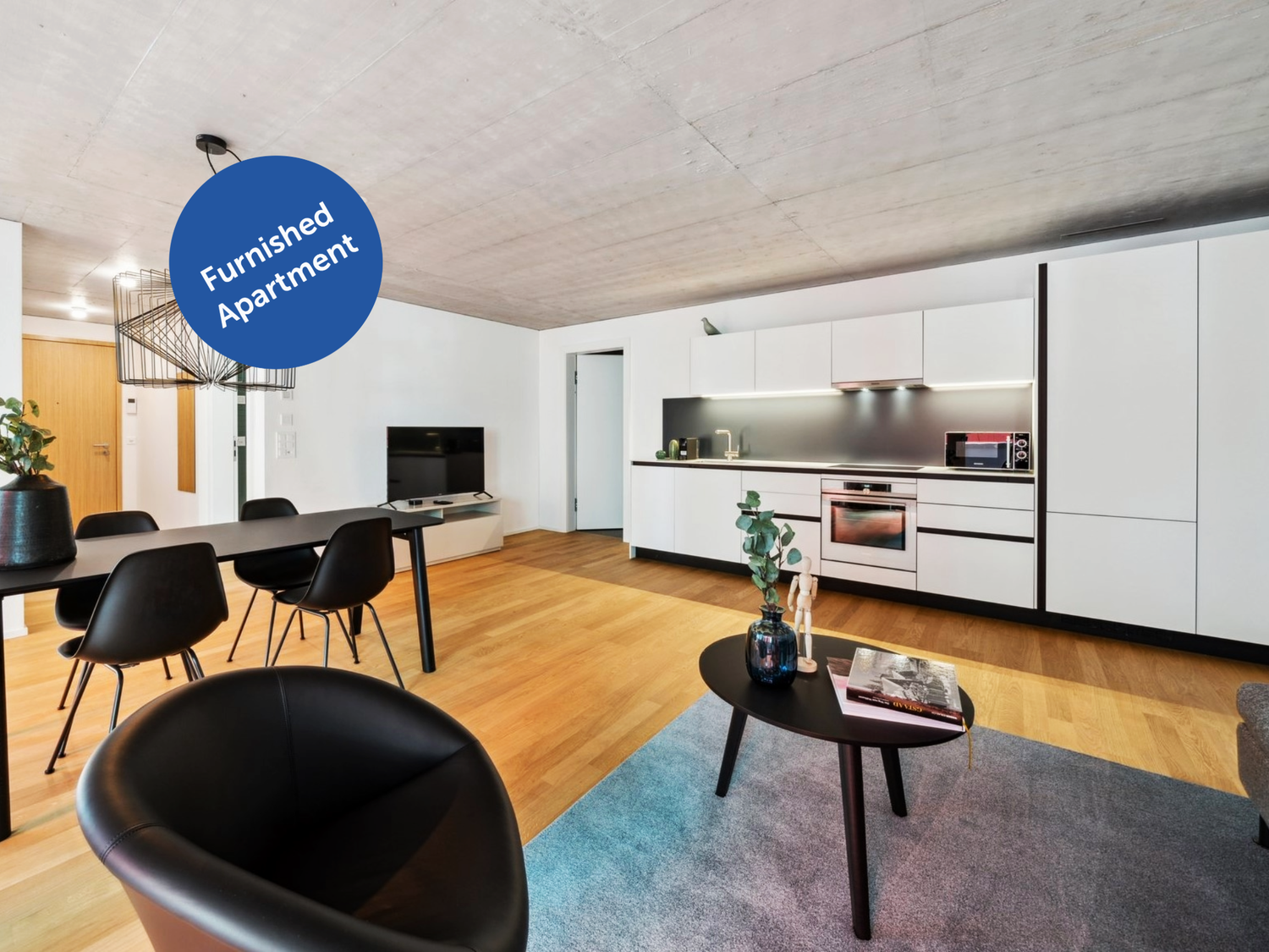 Appartamento arredato di 2 ½ locali