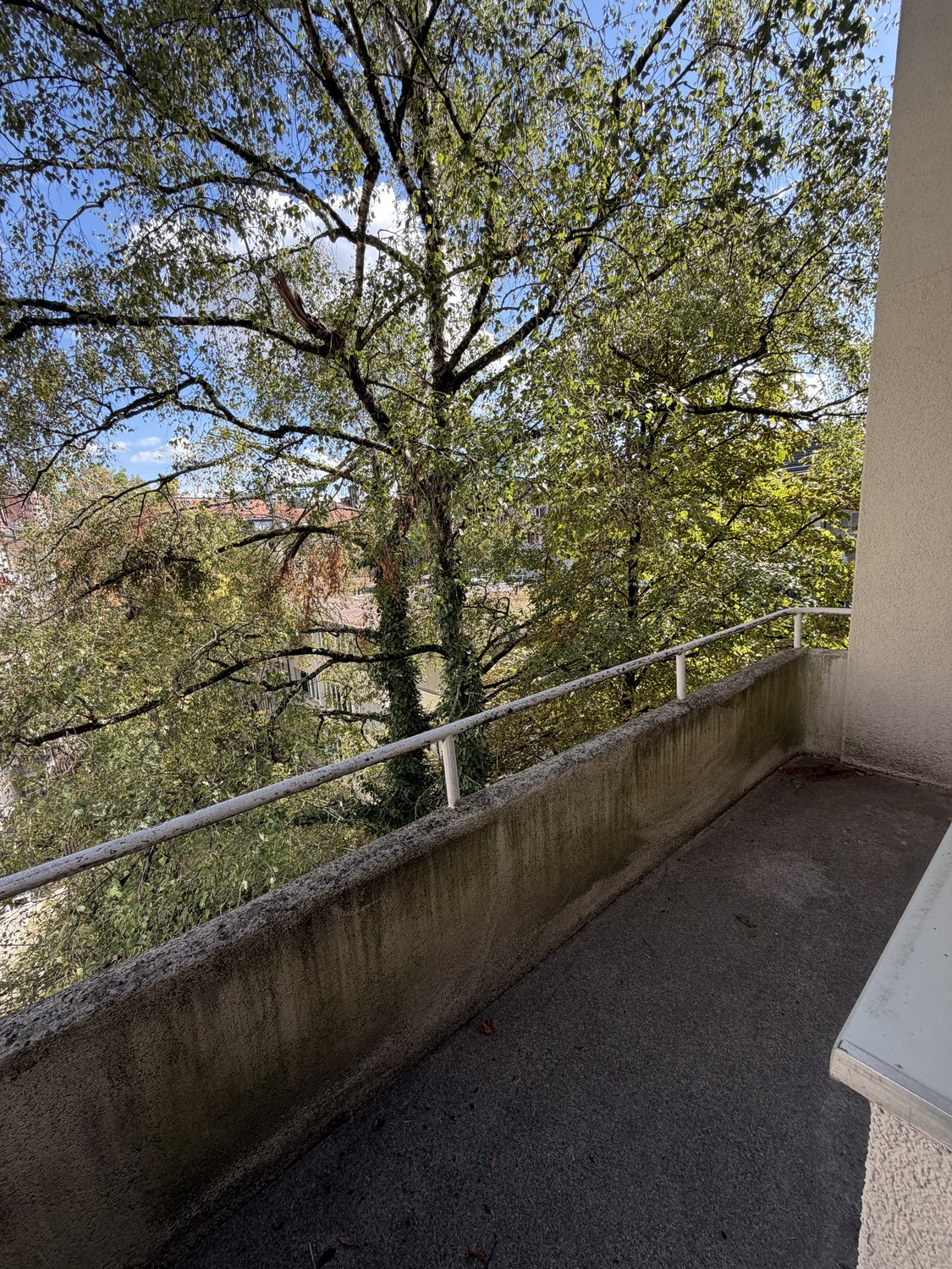 3 ½ rooms apartment, photo 3 of 10
