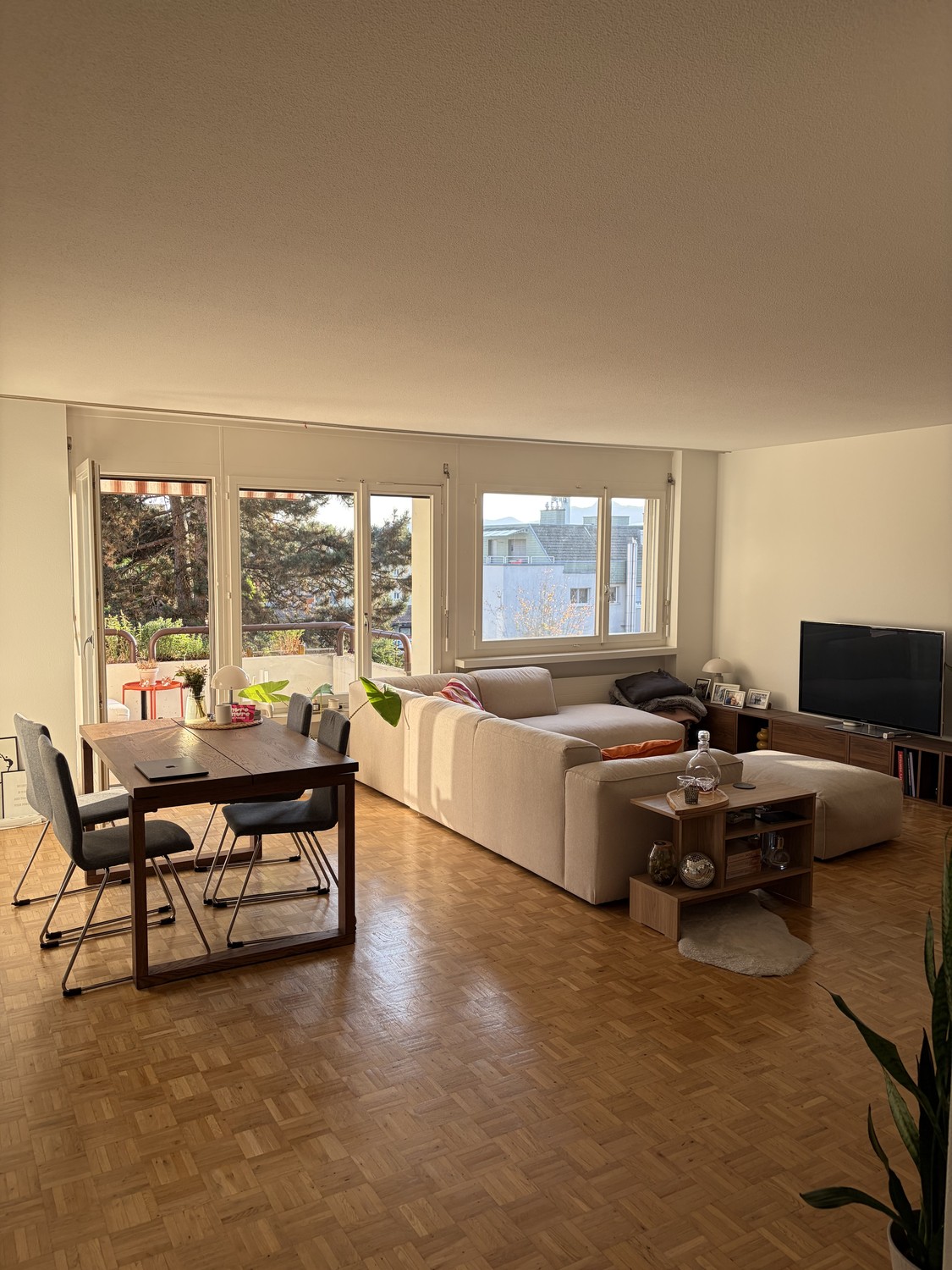 Appartement de 3 ½ pièces