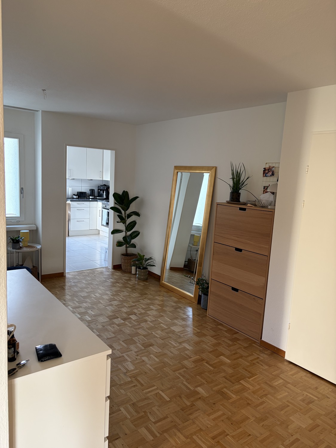 Appartement de 3 ½ pièces