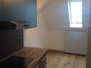 2 ½ rooms apartment, photo 5 of 5