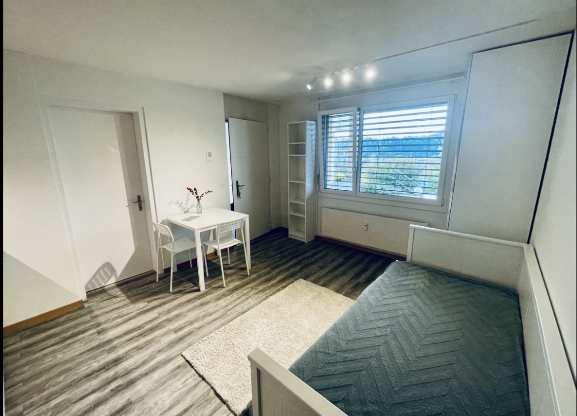 1 room apartment