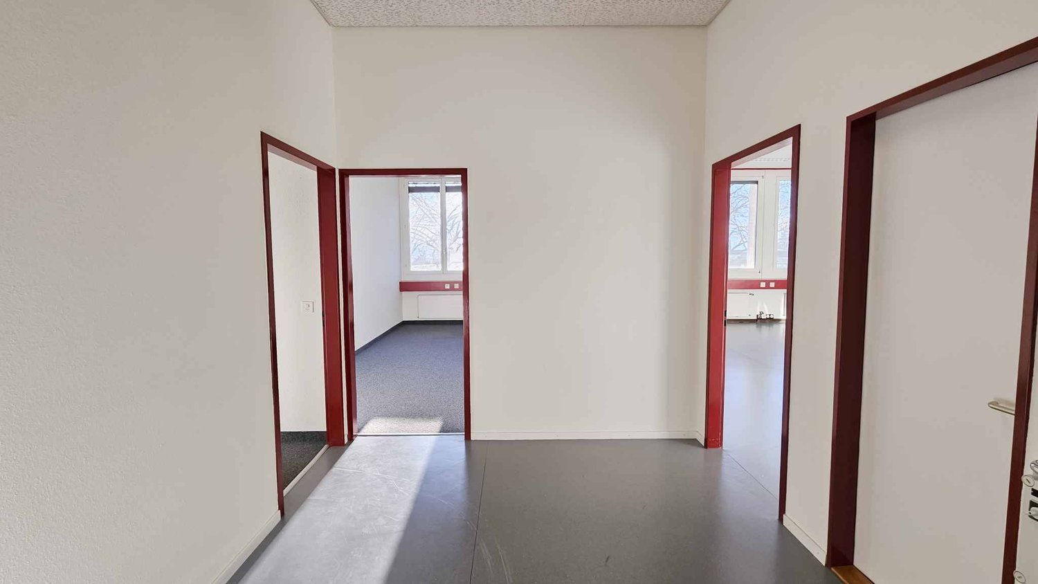 153m² office