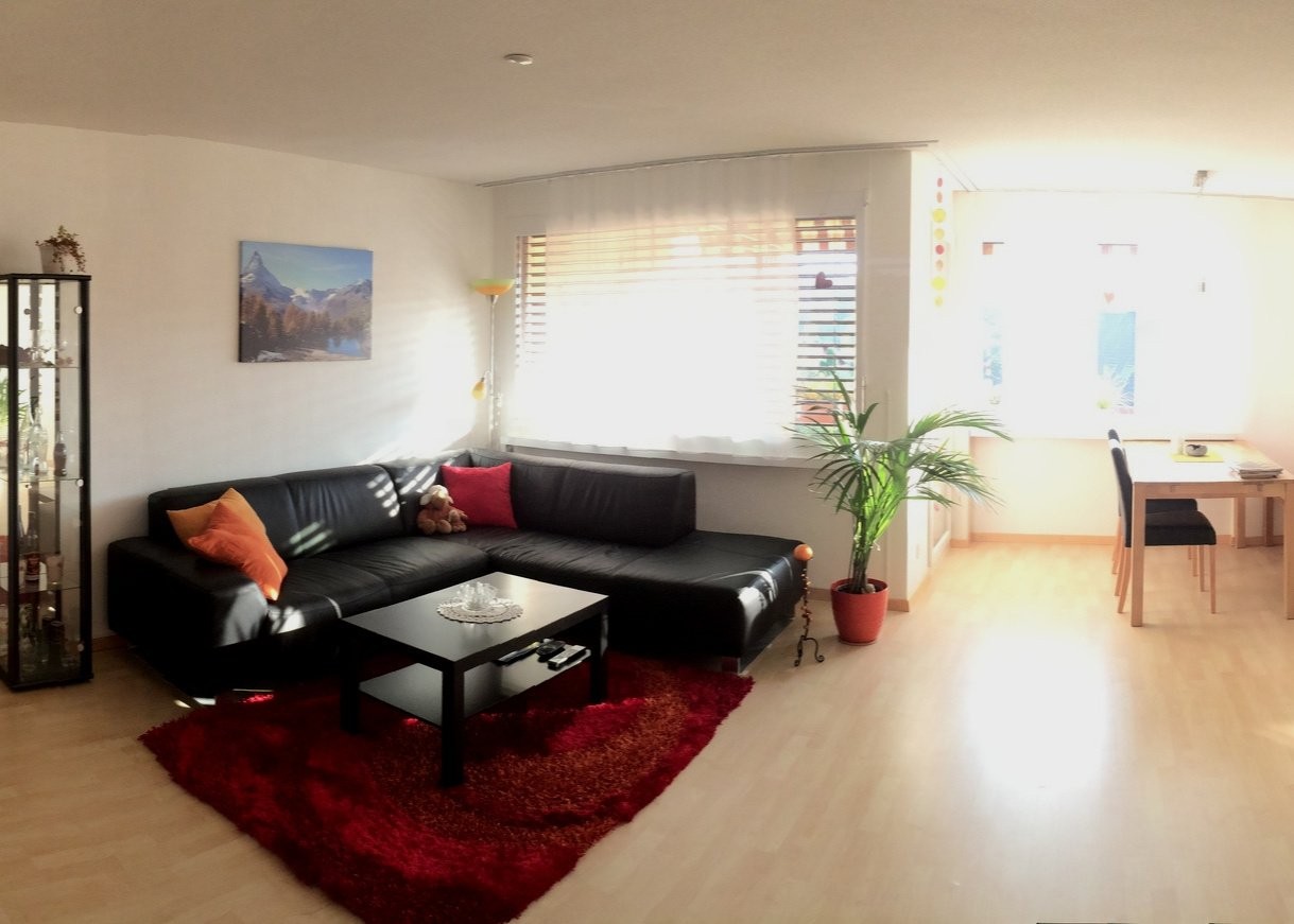 2 ½ rooms furnished flat