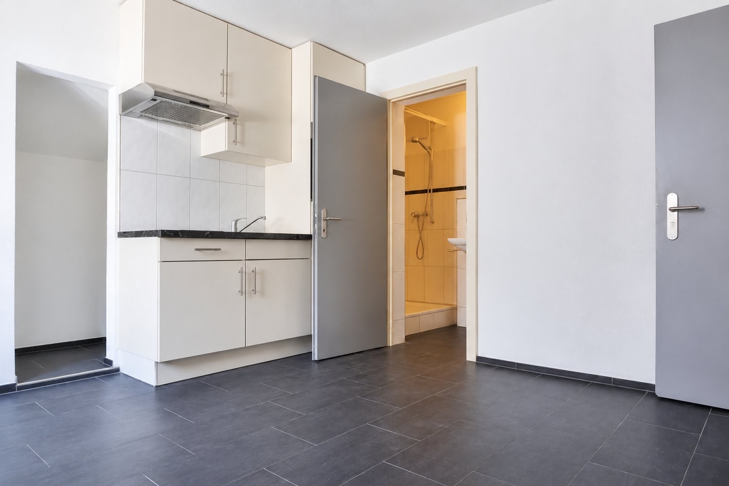 23 ½ rooms multi family house