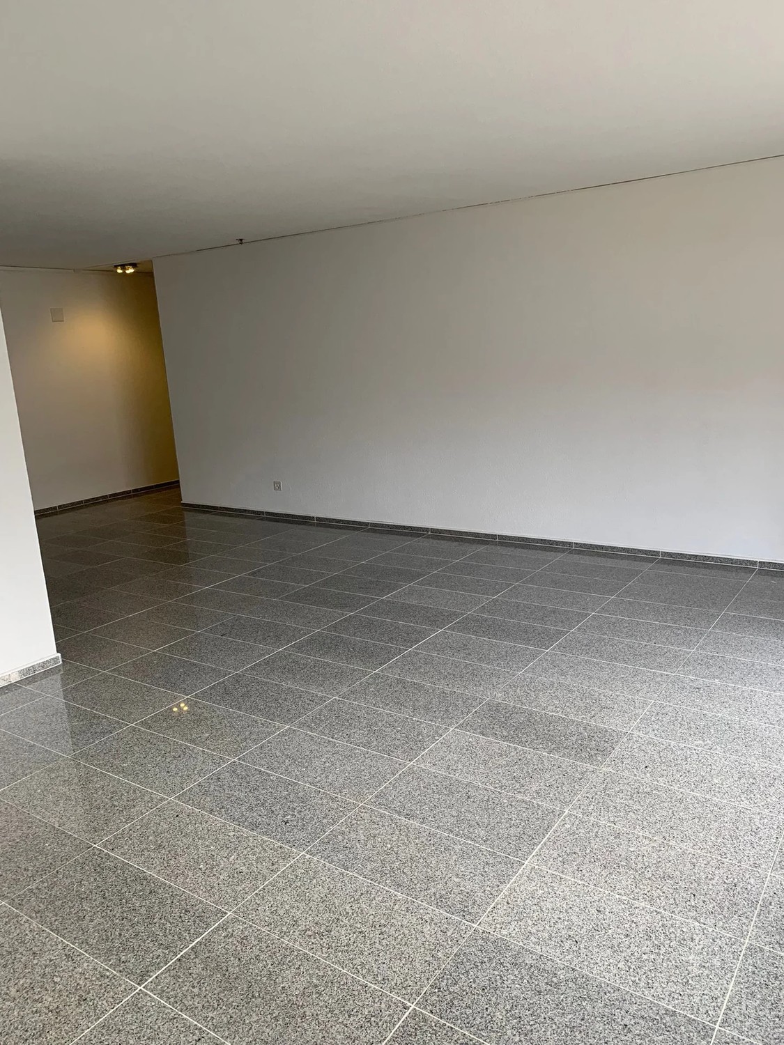 Appartamento di 4 ½ locali