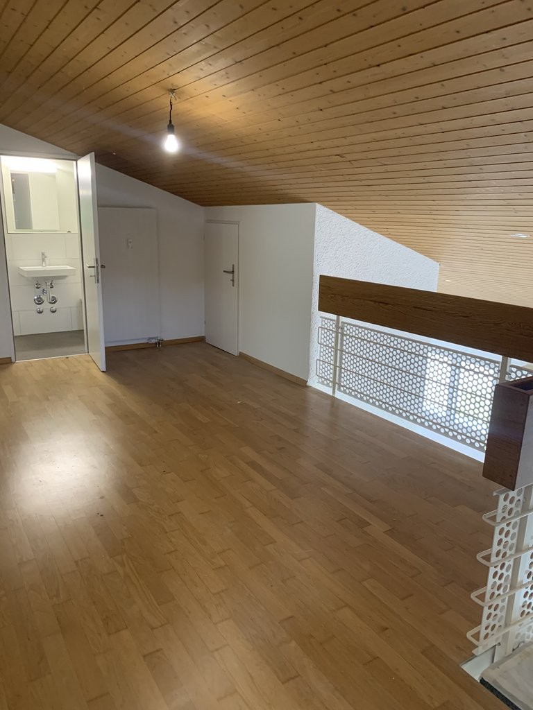 4 ½ rooms duplex