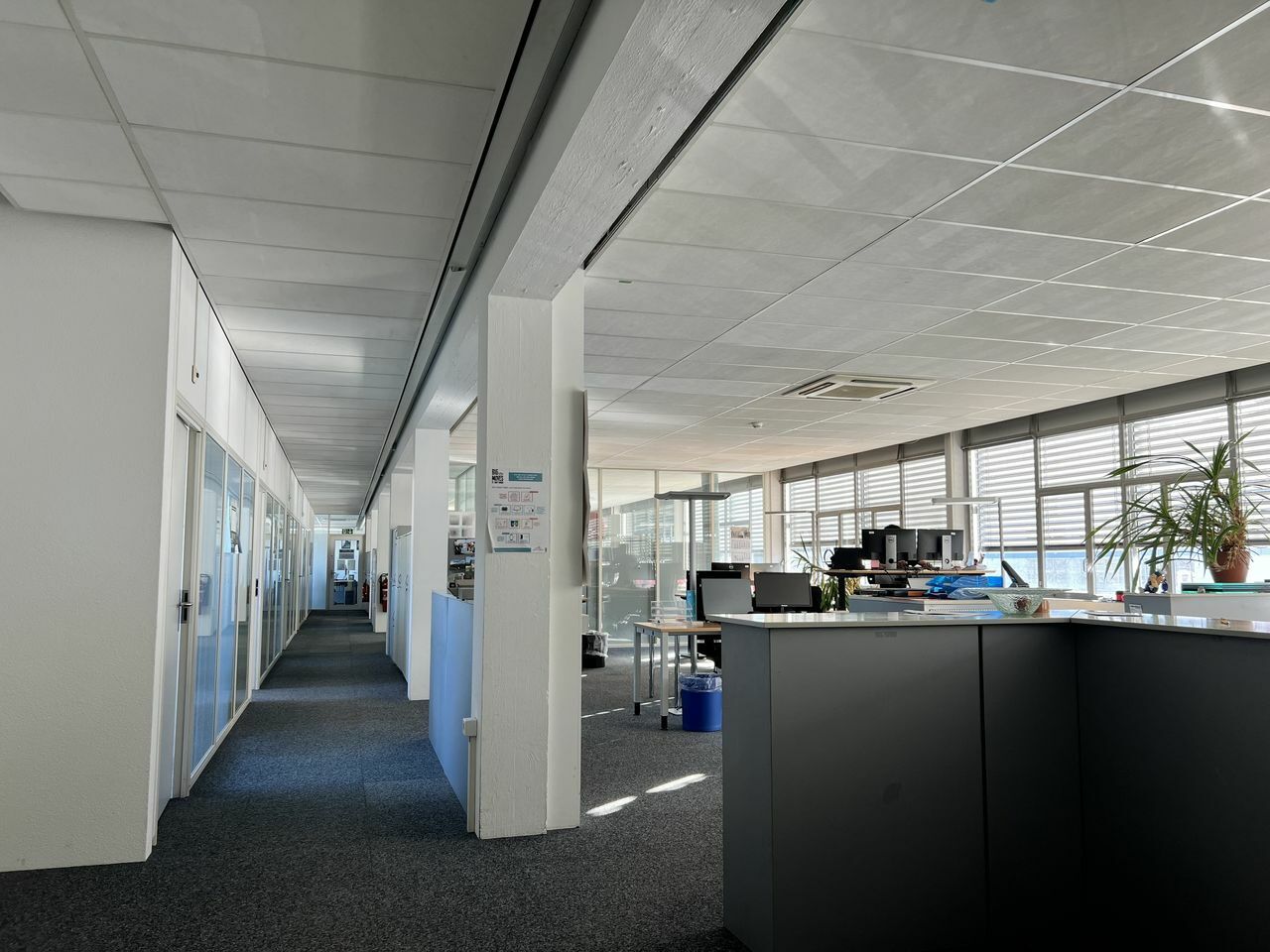 40m² office, photo 4 of 5