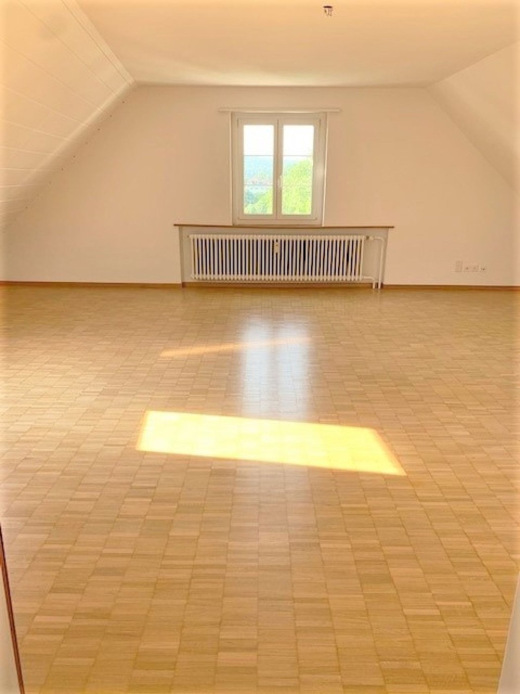 1 rooms roof flat