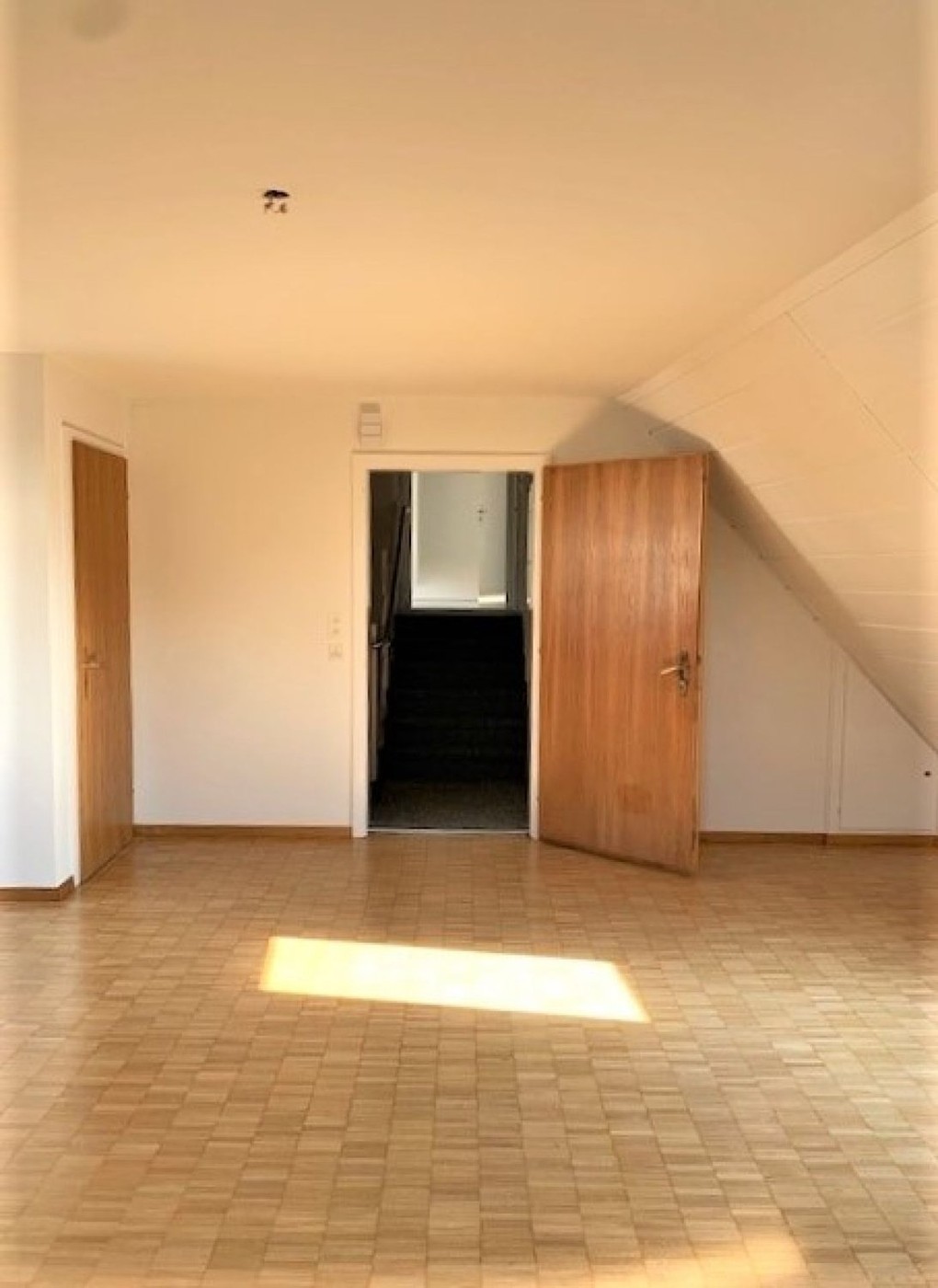 1 rooms roof flat