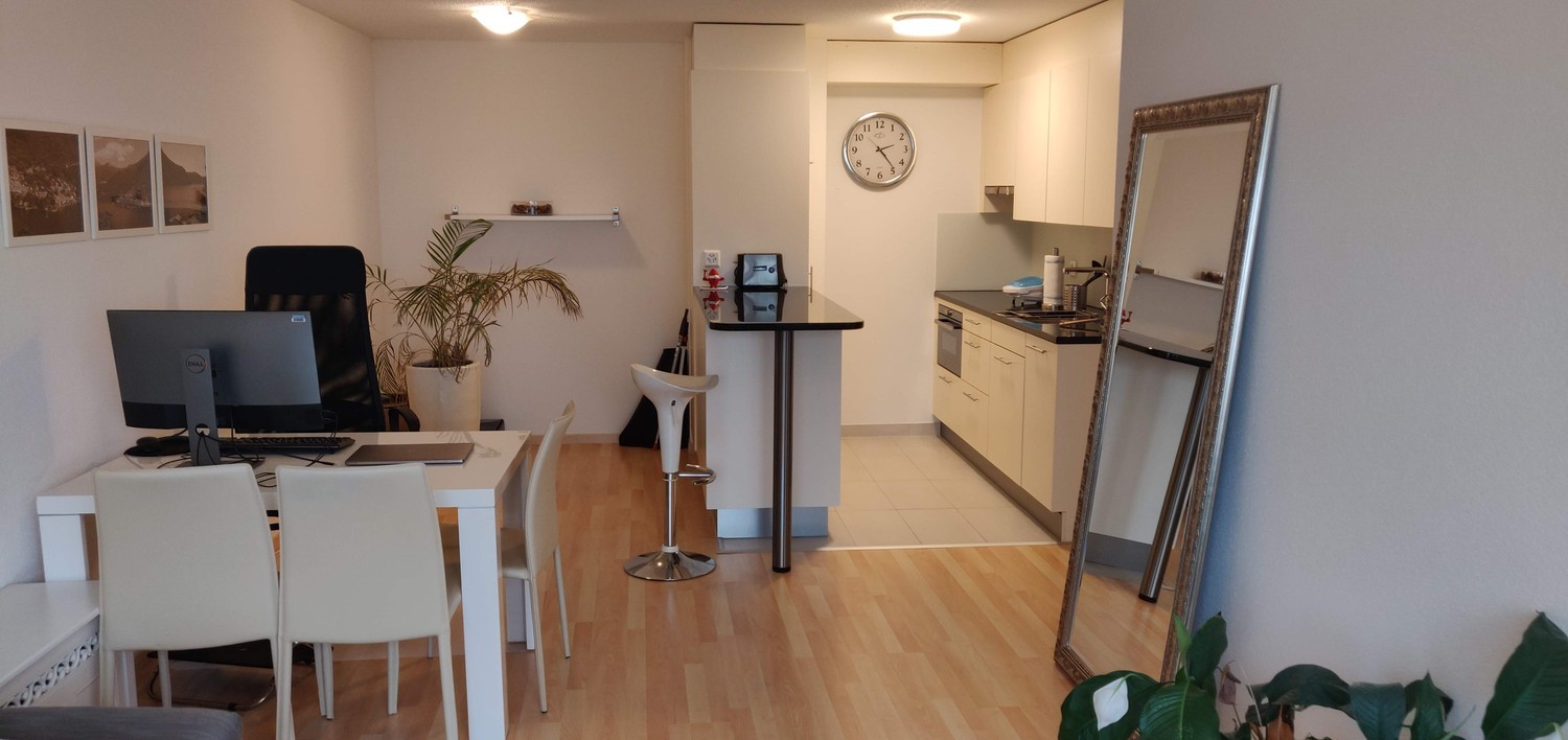 2 ½ rooms apartment