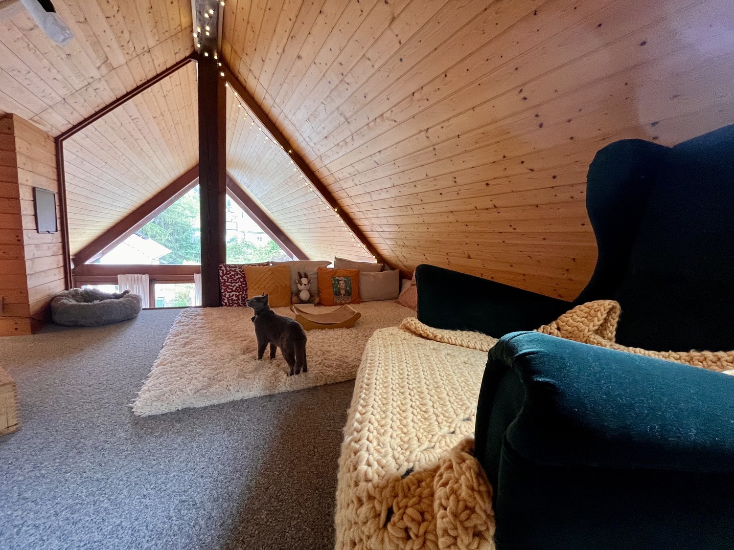 2 ½ rooms apartment, photo 9 of 9