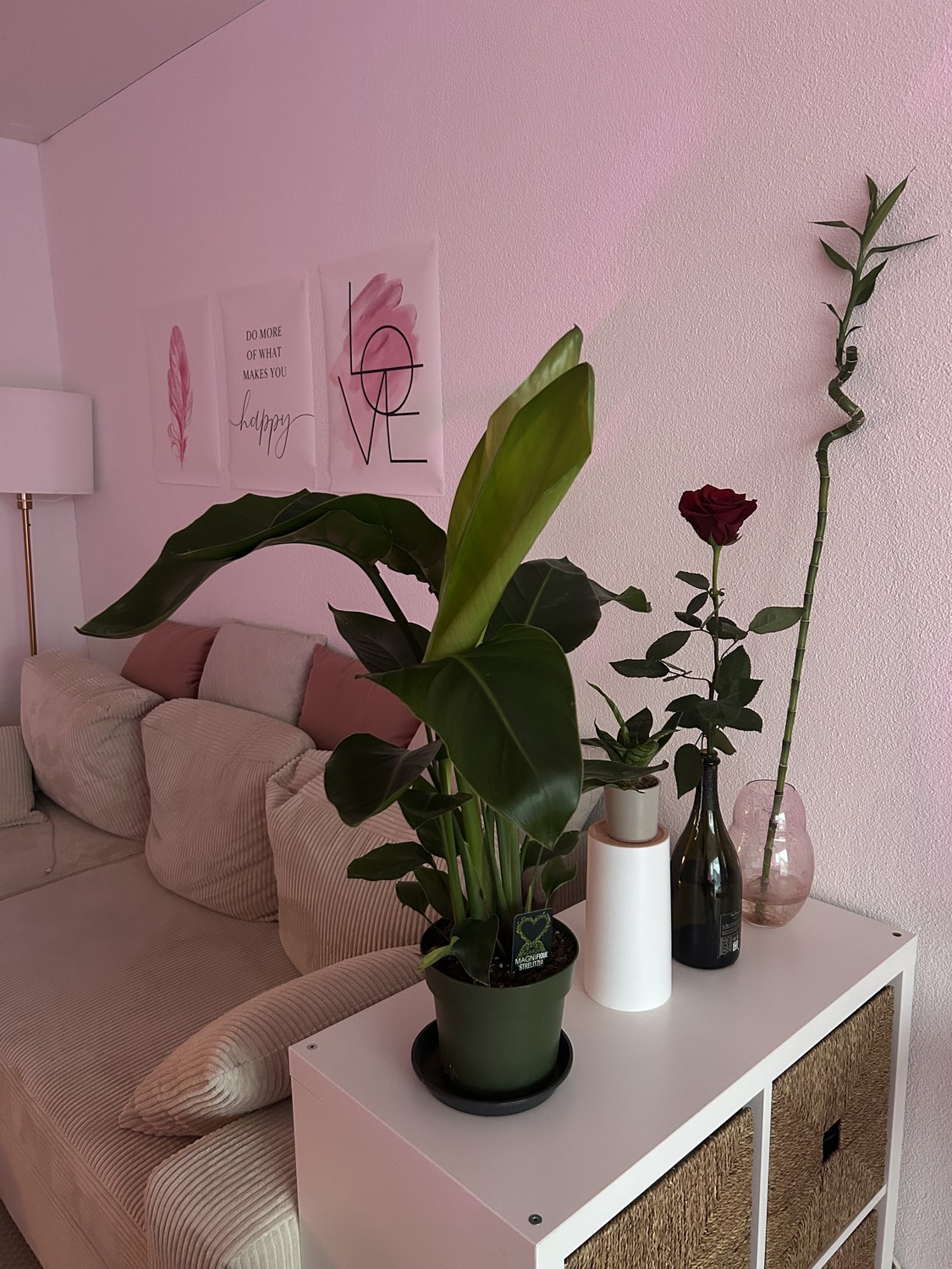 2 ½ rooms apartment, photo 3 of 7