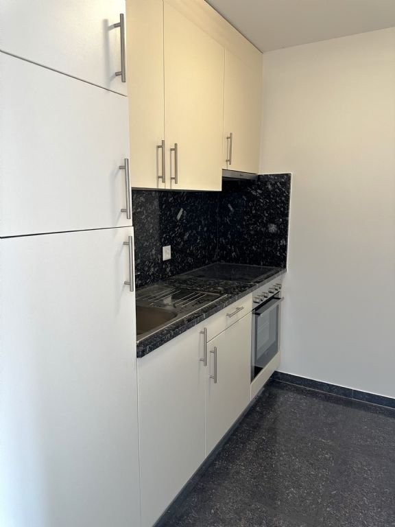 Appartement de 1 ½ pièces