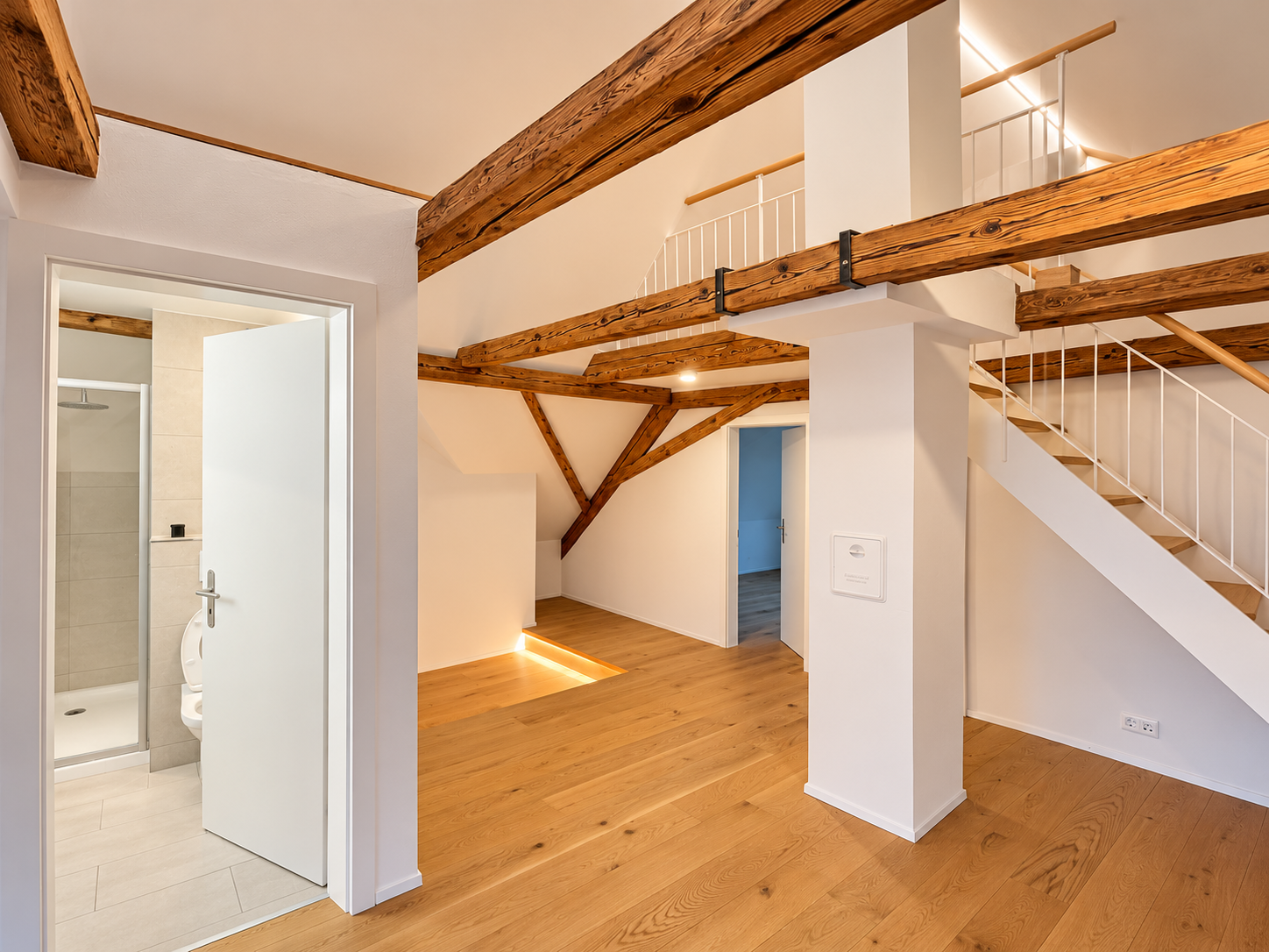2 ½ rooms duplex