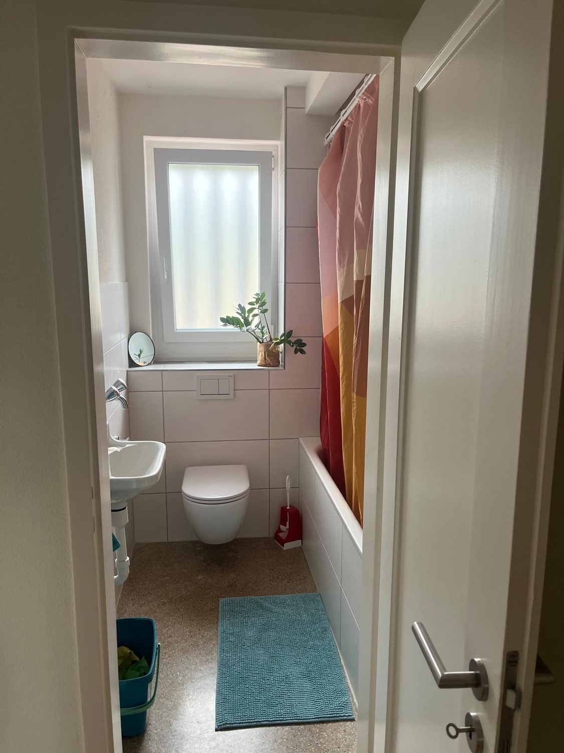 Room in a shared flat