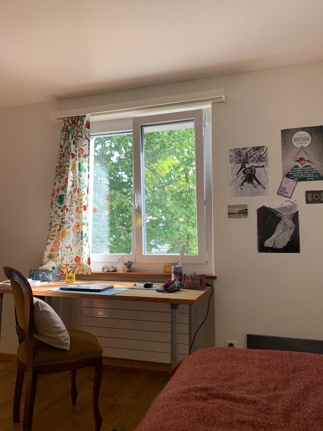 Room in a shared flat