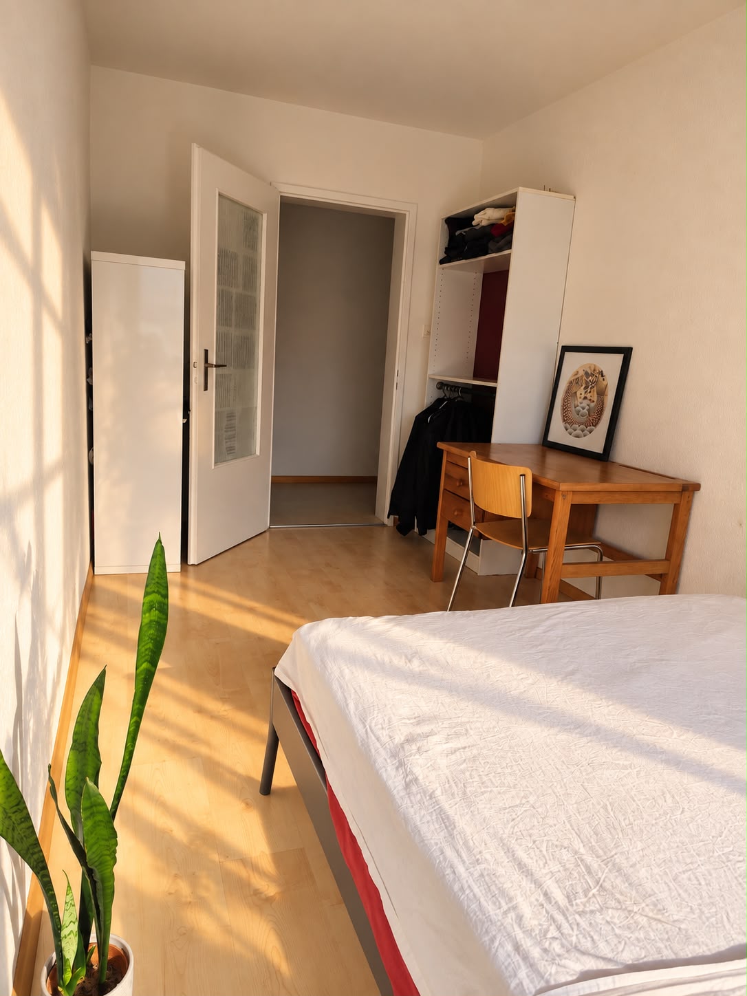 Chambre en colocation

Trois chambres deviennent disponibles de manière permanente dans une rue chaleureuse près de Claraplatz

Salut !
Au cours des prochains mois, de novembre à janvier, trois chambres de notre WG deviendront disponibles de manière permanente car nous emménageons respectivement ave