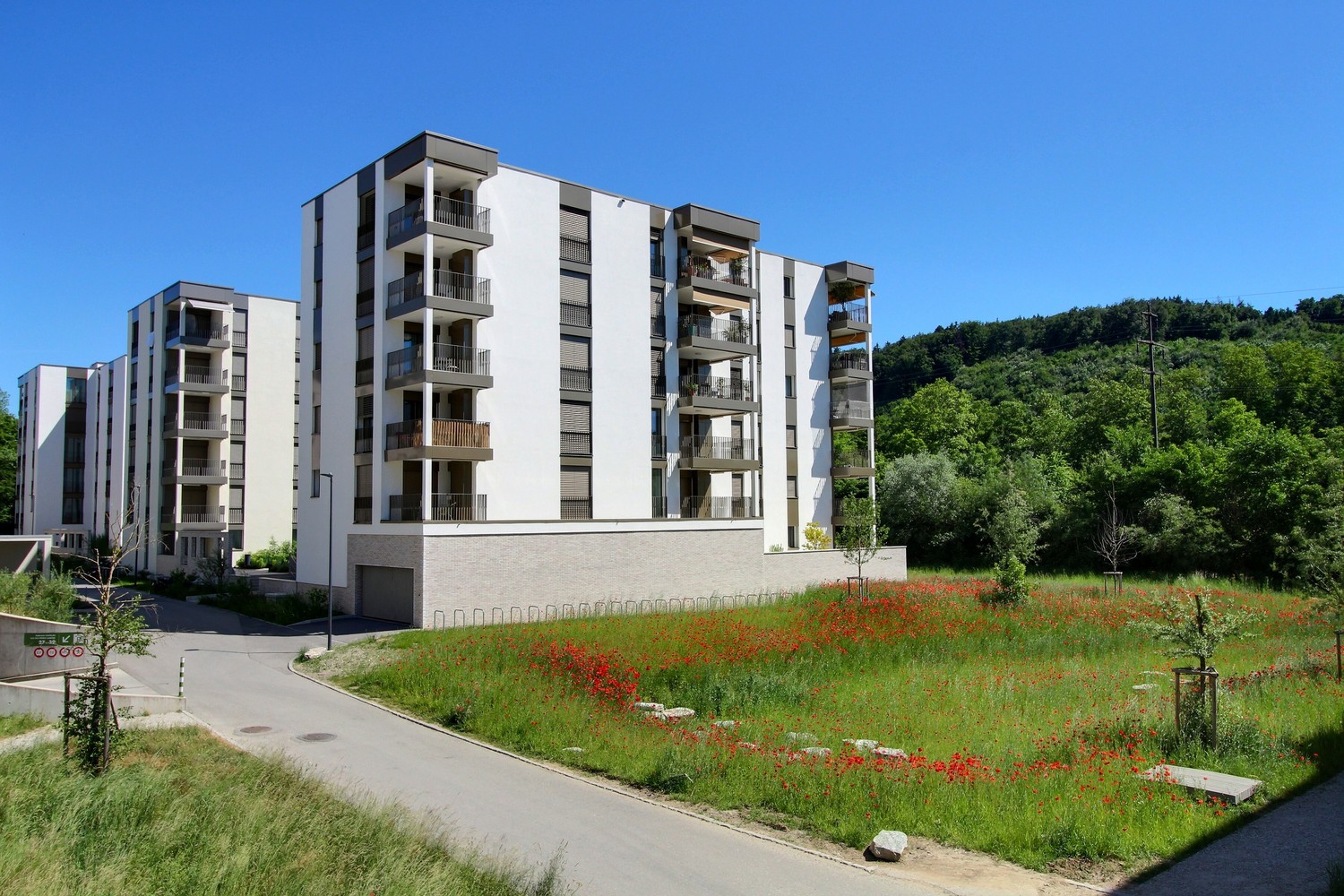 3 ½ Zimmer-Wohnung