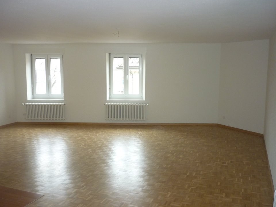4 ½ rooms apartment (3)