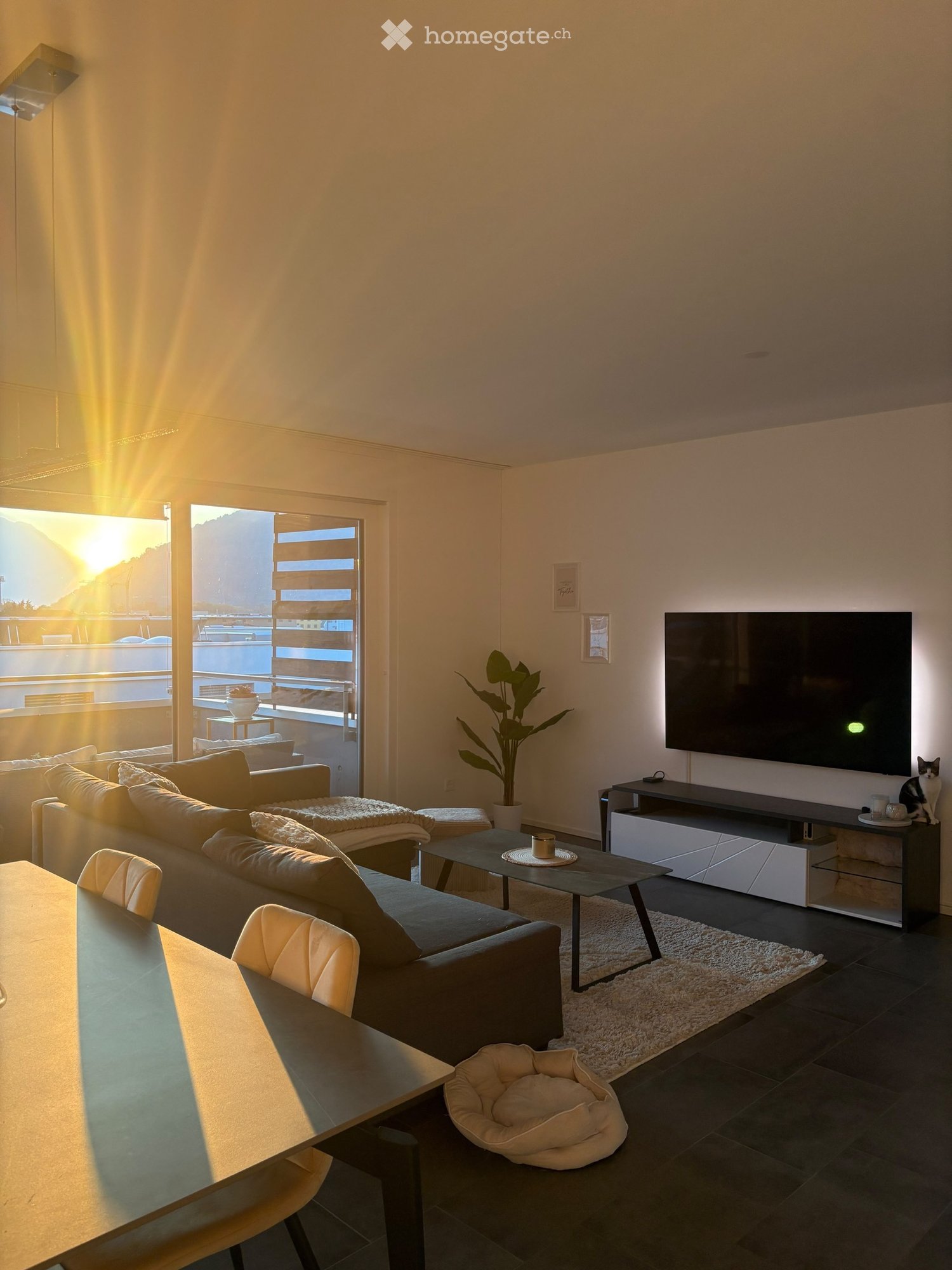 2 ½ Zimmer Wohnung