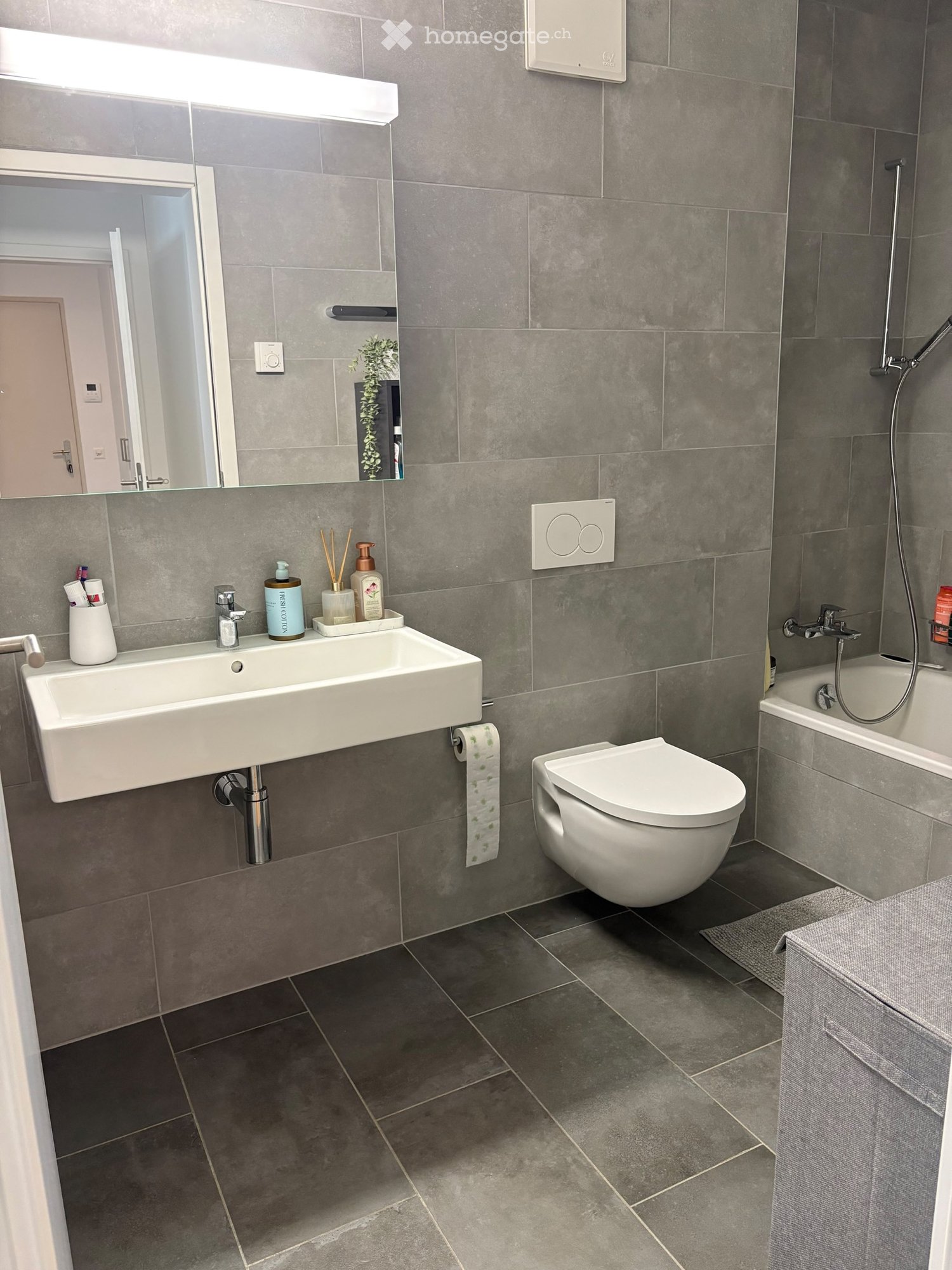 2 ½ Zimmer Wohnung