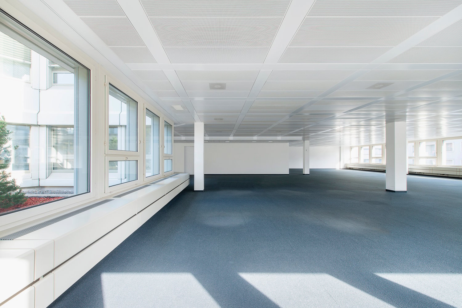 350m² office, photo 6 of 6