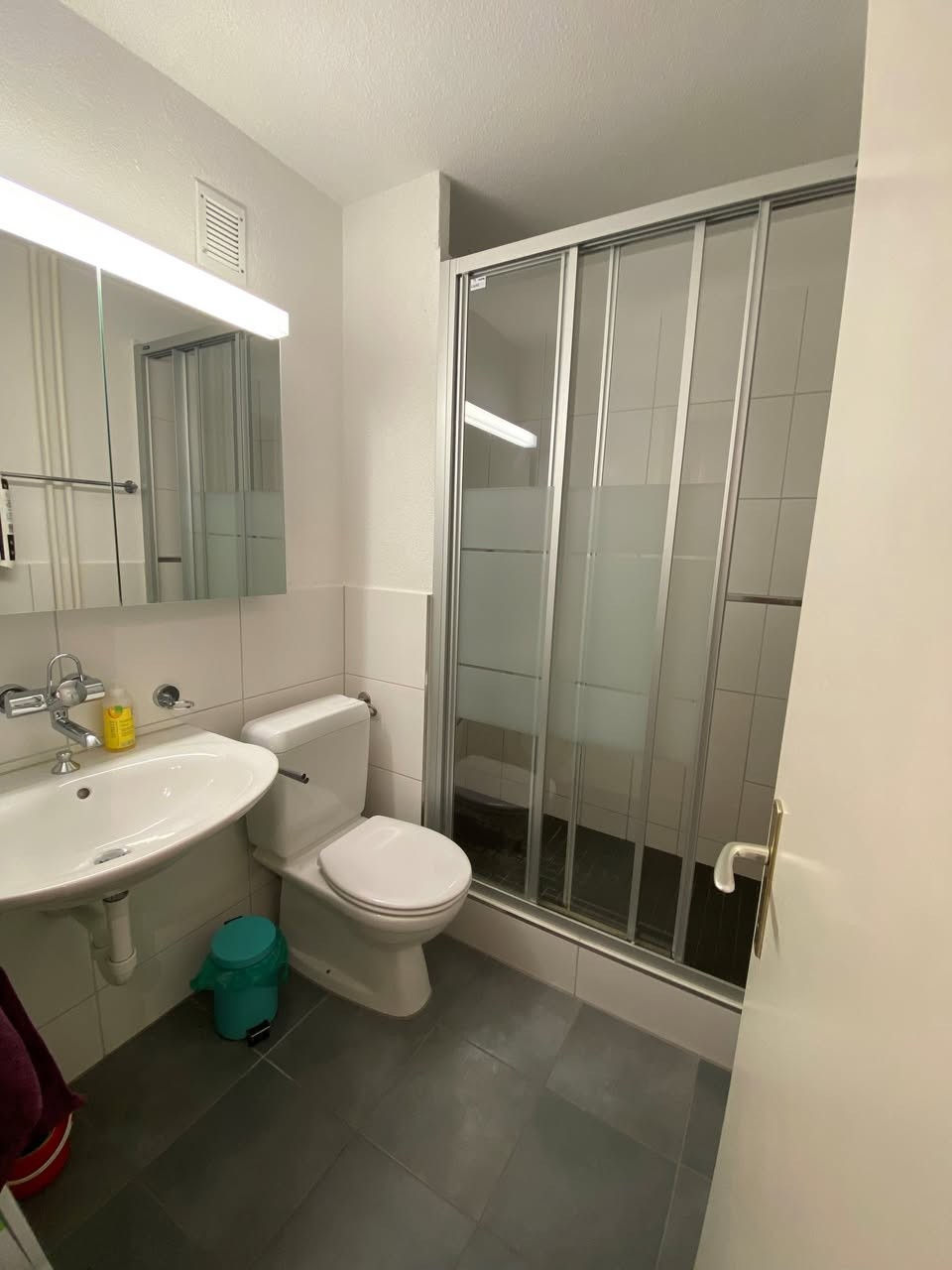 3 ½ Zimmer Wohnung