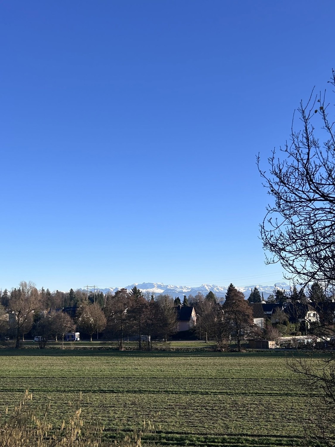 3 ½ Zimmer Wohnung