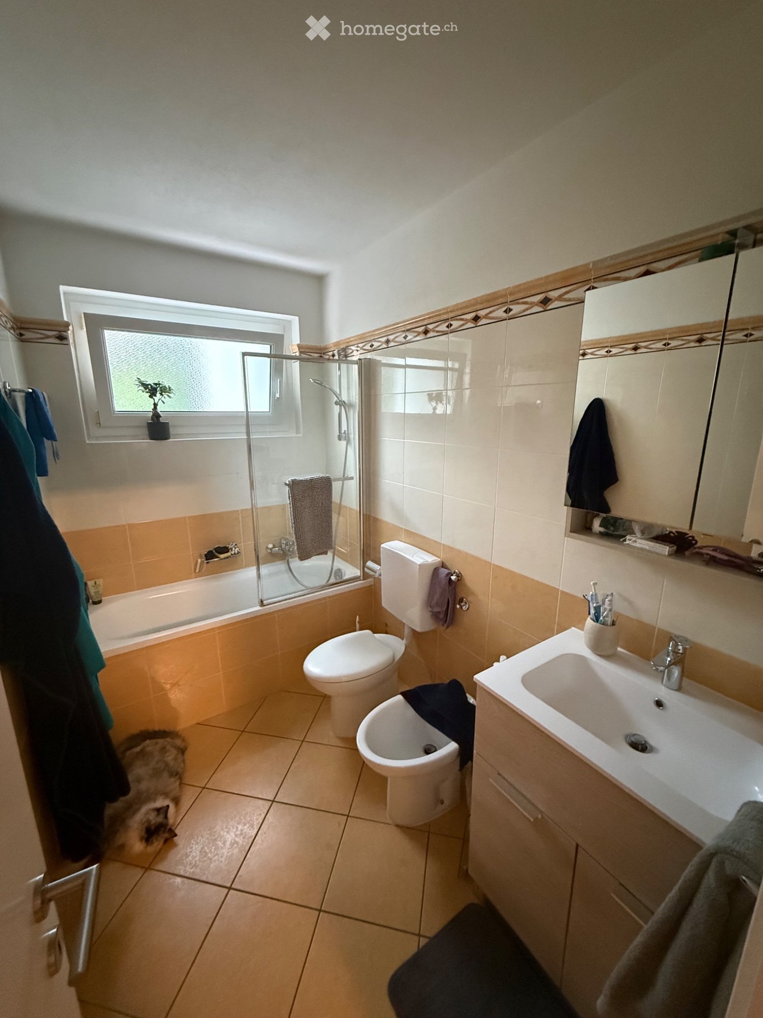 3 ½ Zimmer Wohnung
