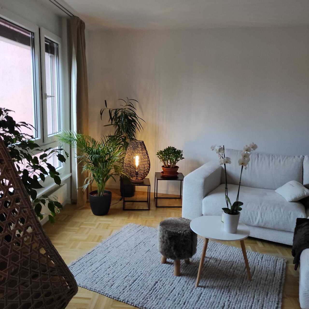 3 ½ Zimmer-Wohnung