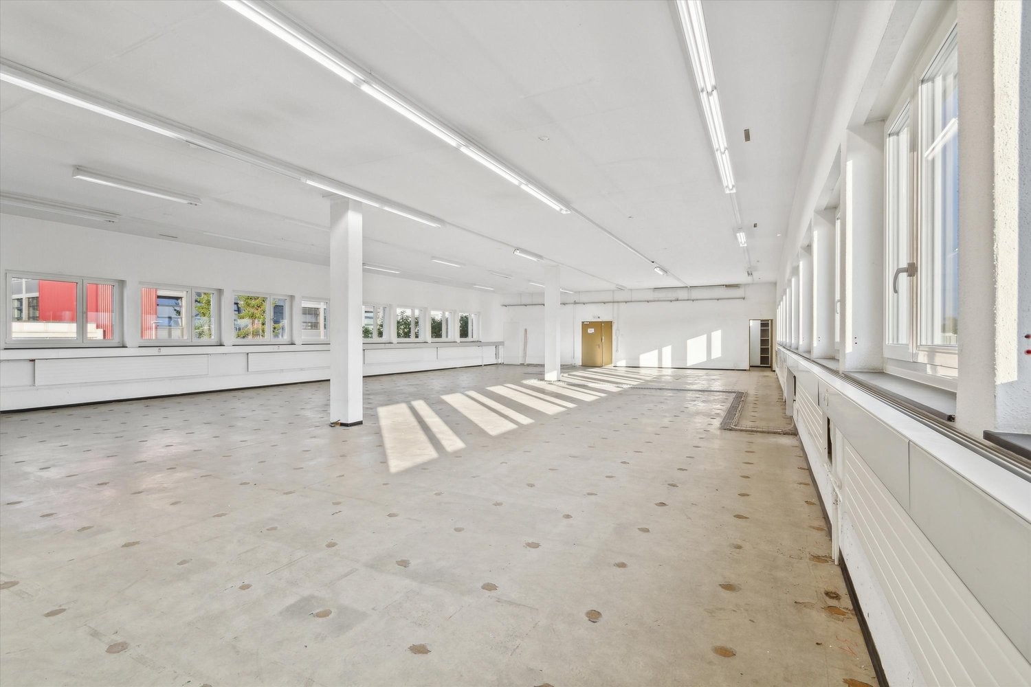 619m² commercial