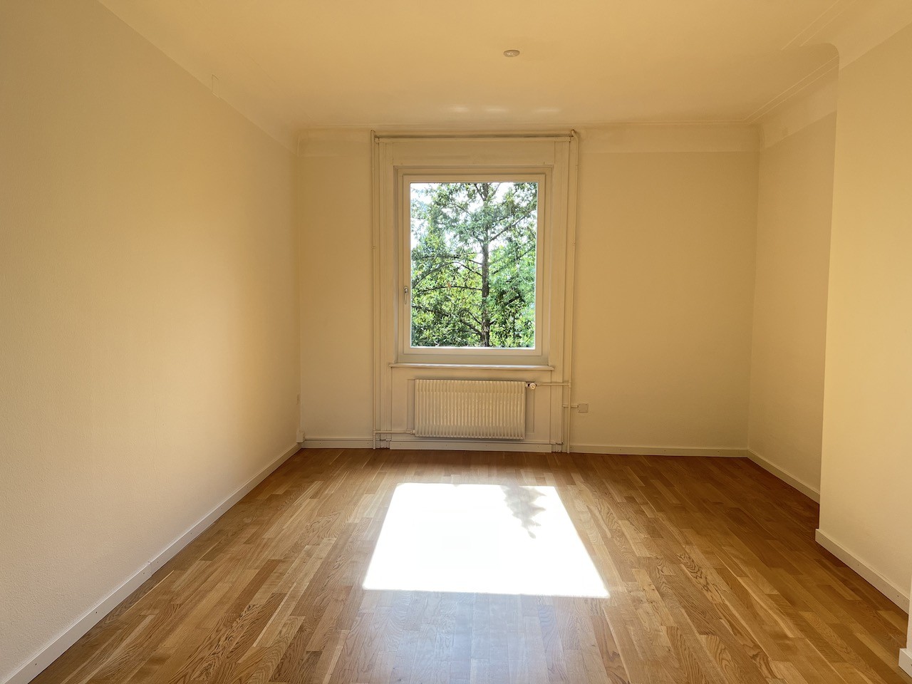 150m² office, photo 3 of 7