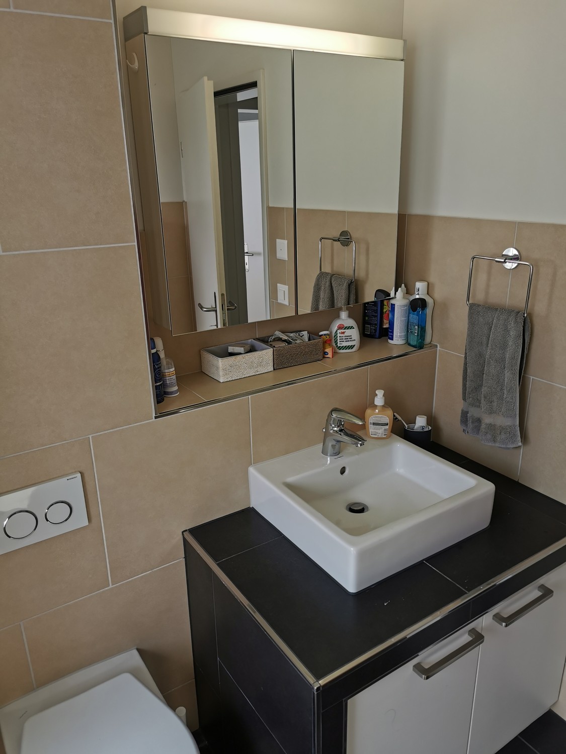 Furnished 3.5-room apartment for sublet in Zurich Schwamendingen–Stettbach, photo 9 of 10