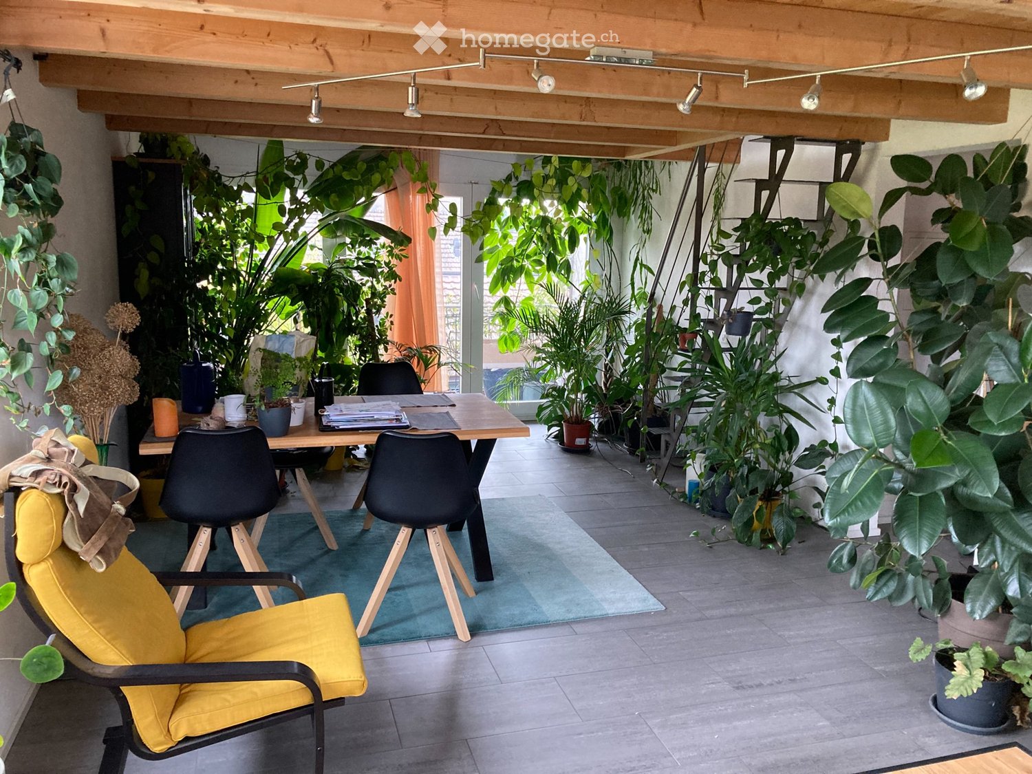 2 ½ rooms apartment