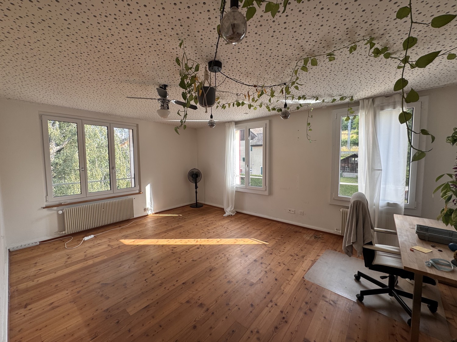 Room in a shared flat