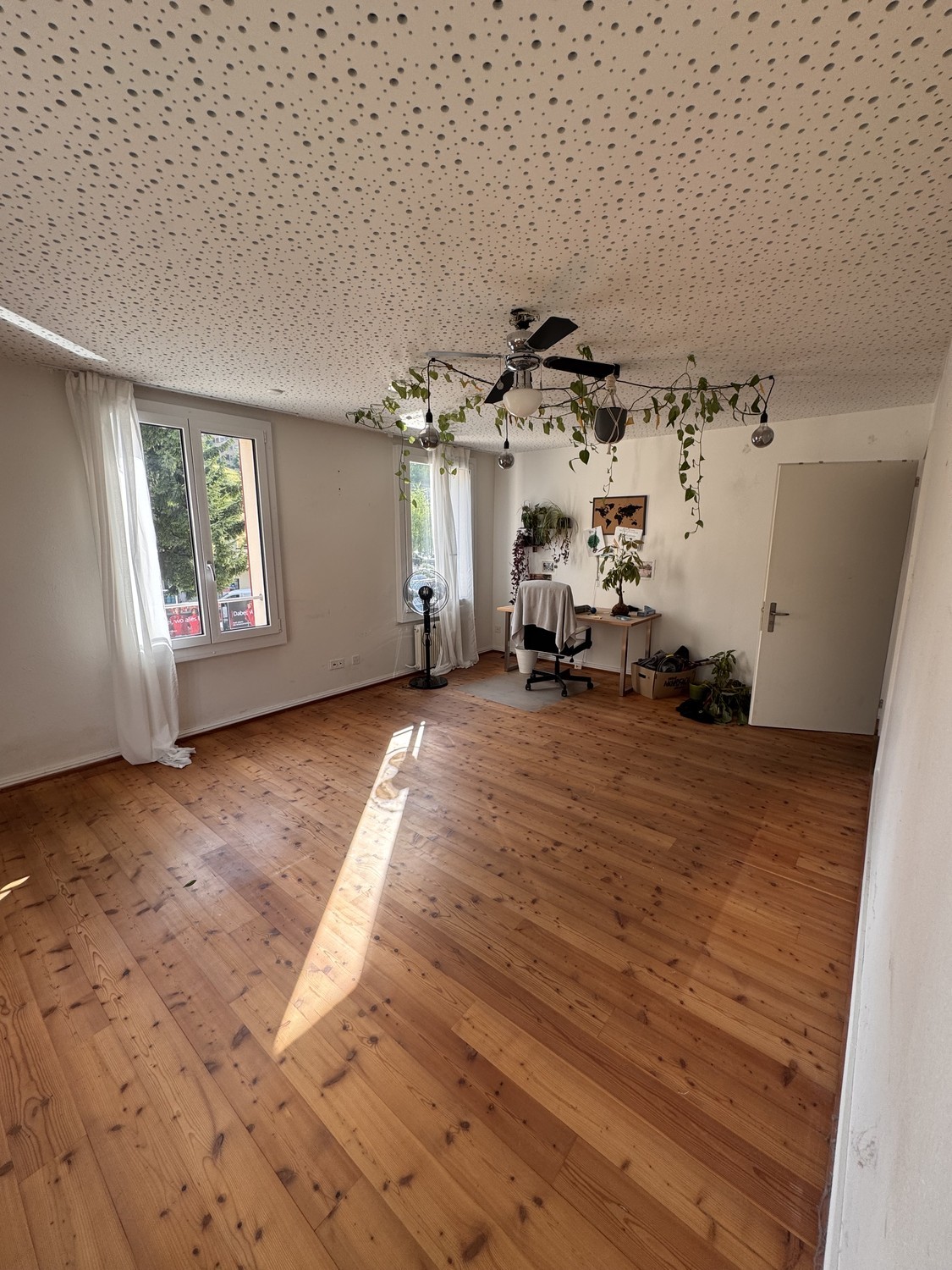 Room in a shared flat