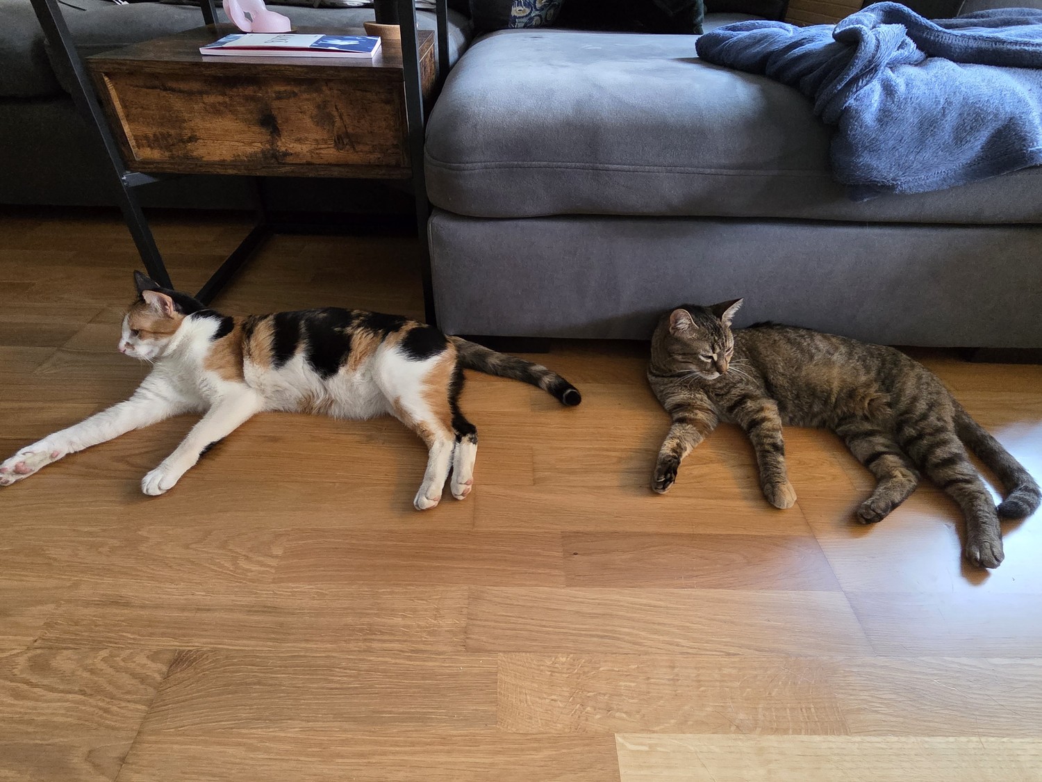 2 ½ rooms apartment, photo 9 of 9