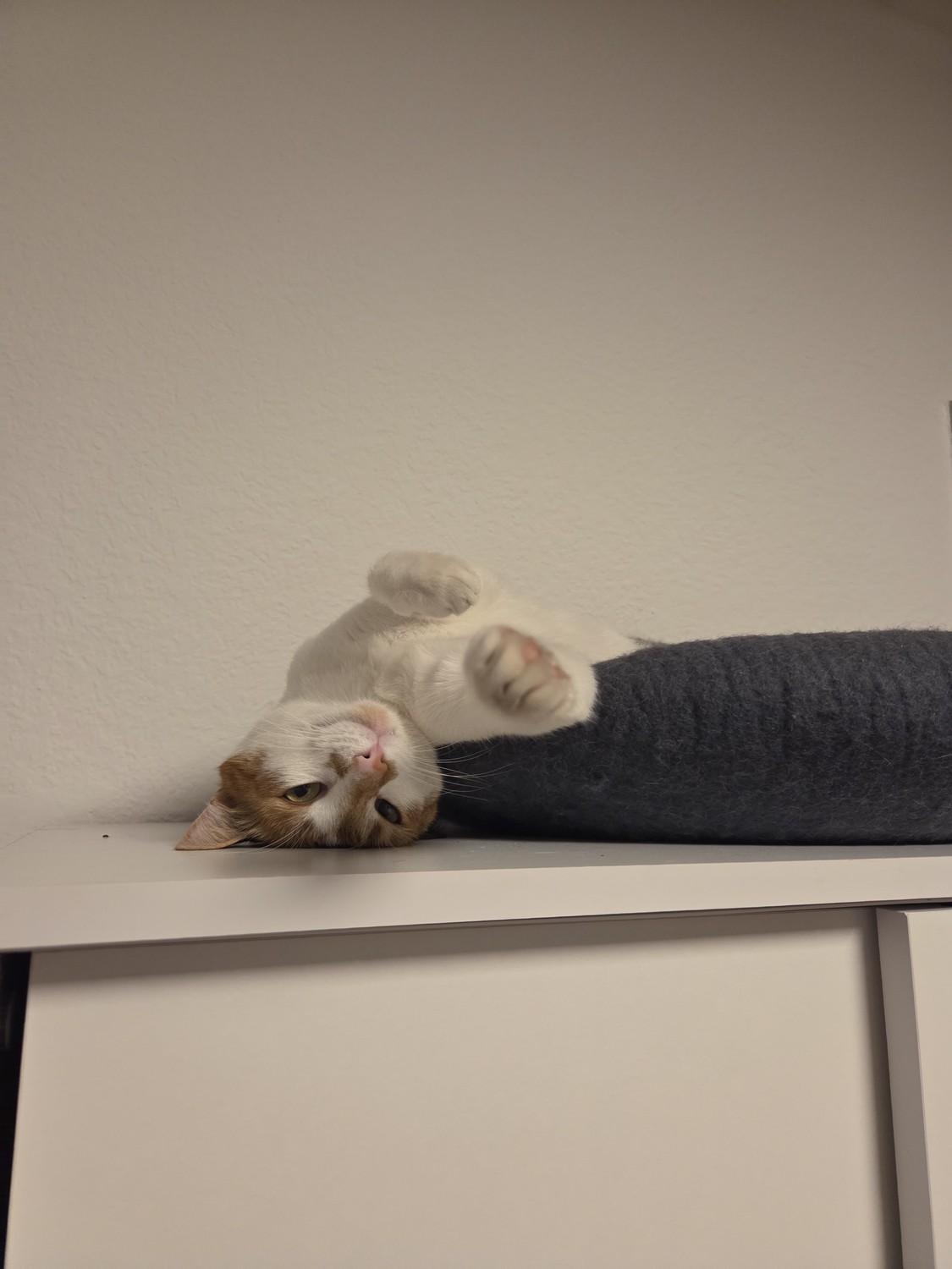 2 ½ rooms apartment, photo 7 of 9
