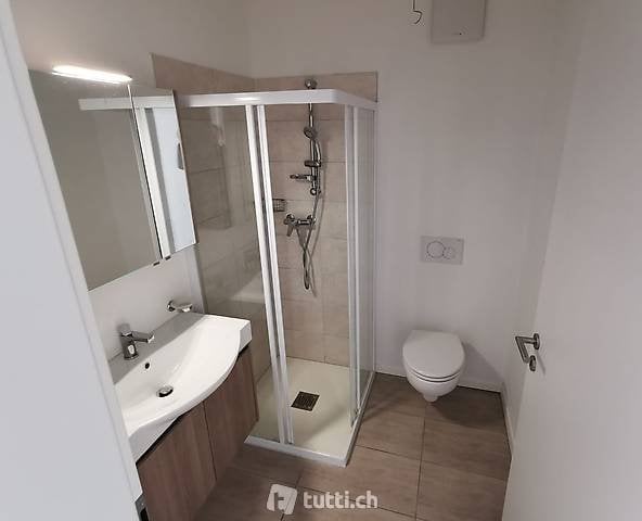 3 ½ Zimmer Wohnung