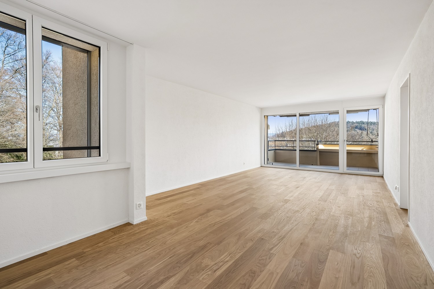4 ½ rooms apartment