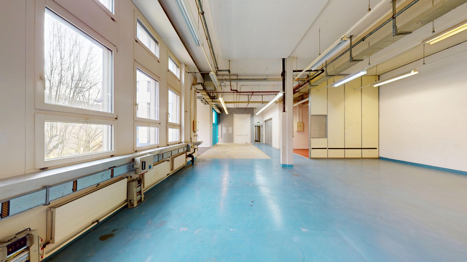 235m² commercial, photo 5 of 8