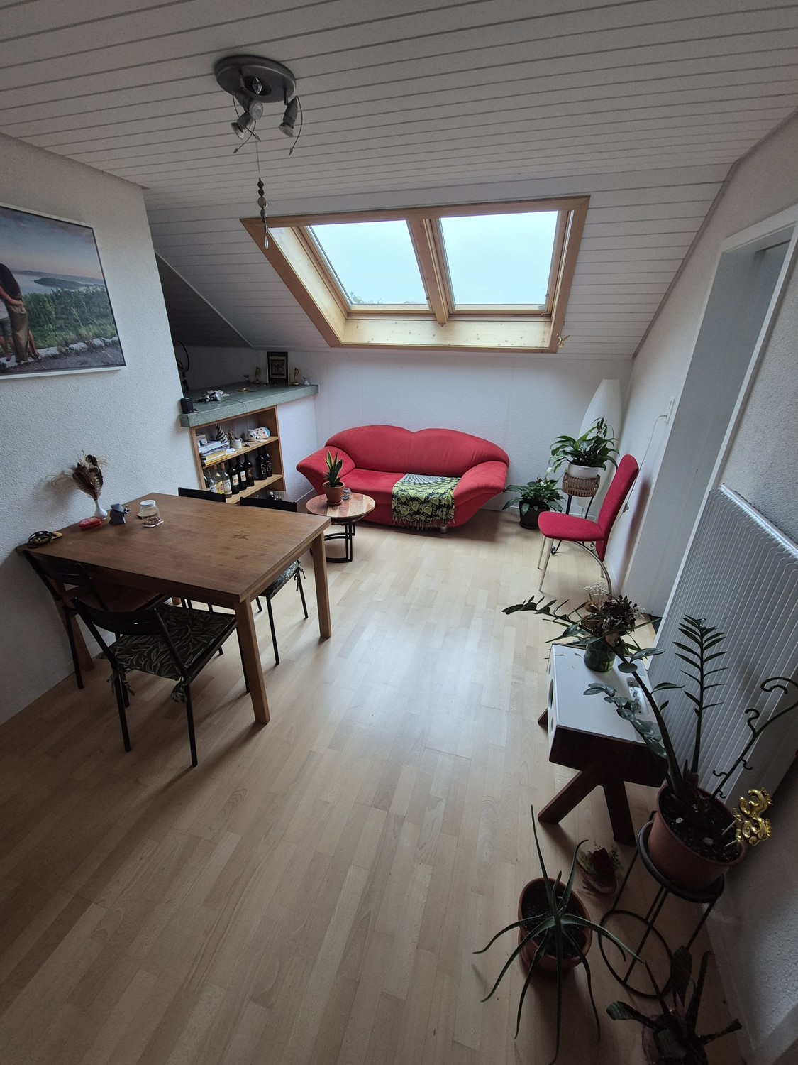 Room in a shared flat