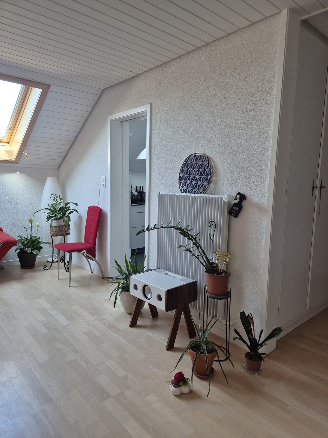 Room in a shared flat