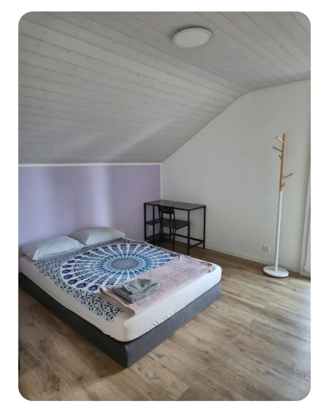 Room in a shared flat