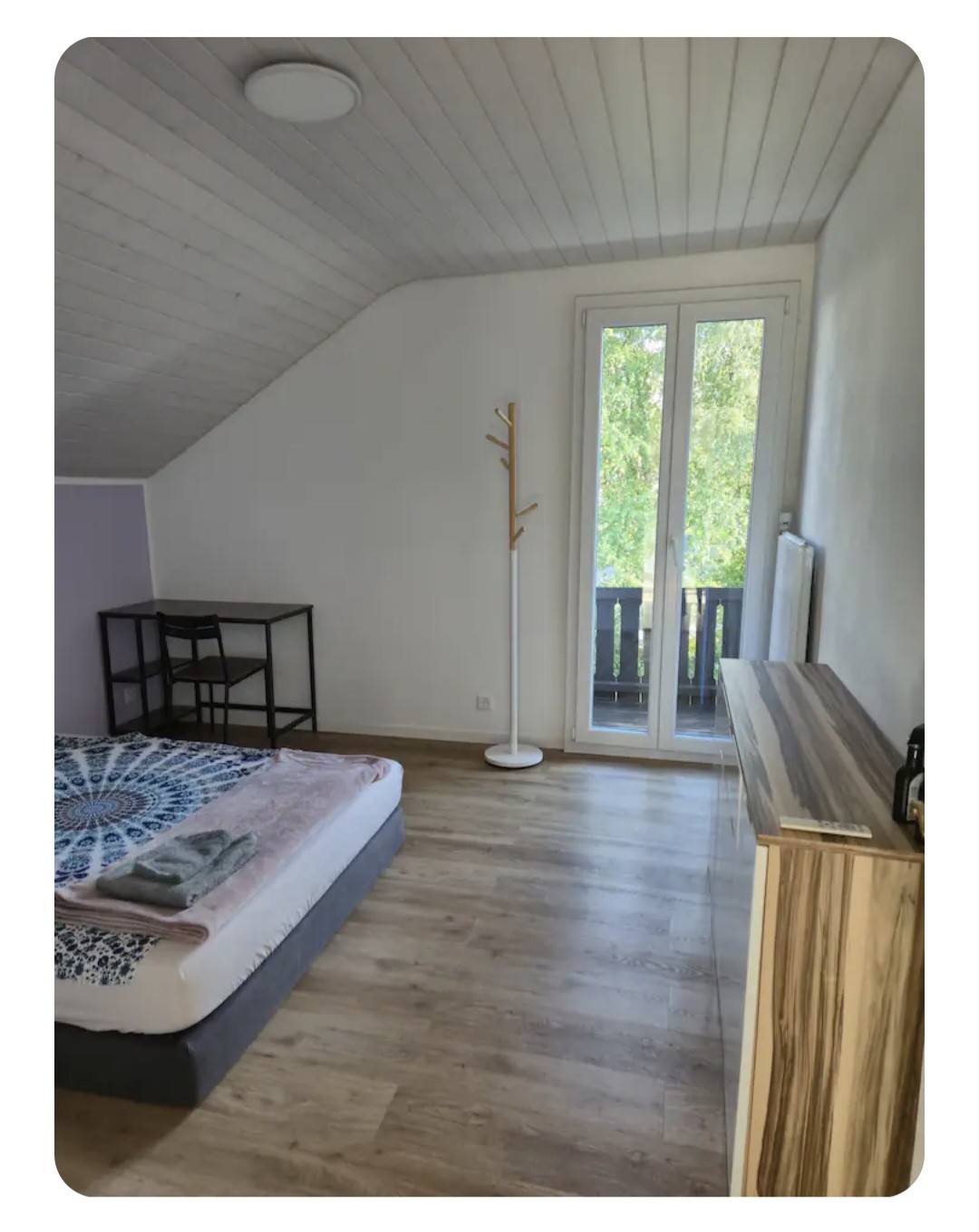 Room in a shared flat