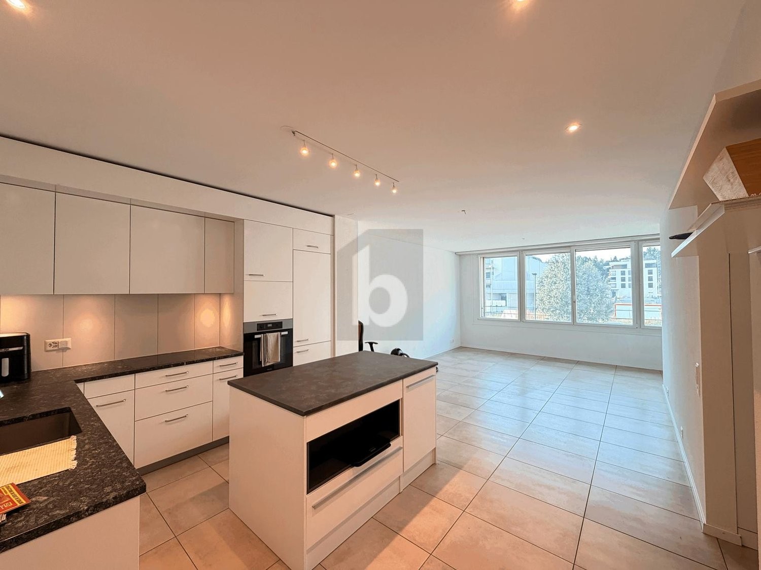3 ½ Zimmer-Duplex