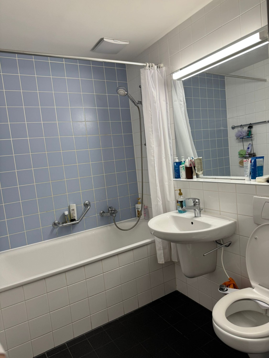 Glatttalstrasse 102, 8052 Zürich - CHF 1200 incl. utilities per month, photo 3 of 6
