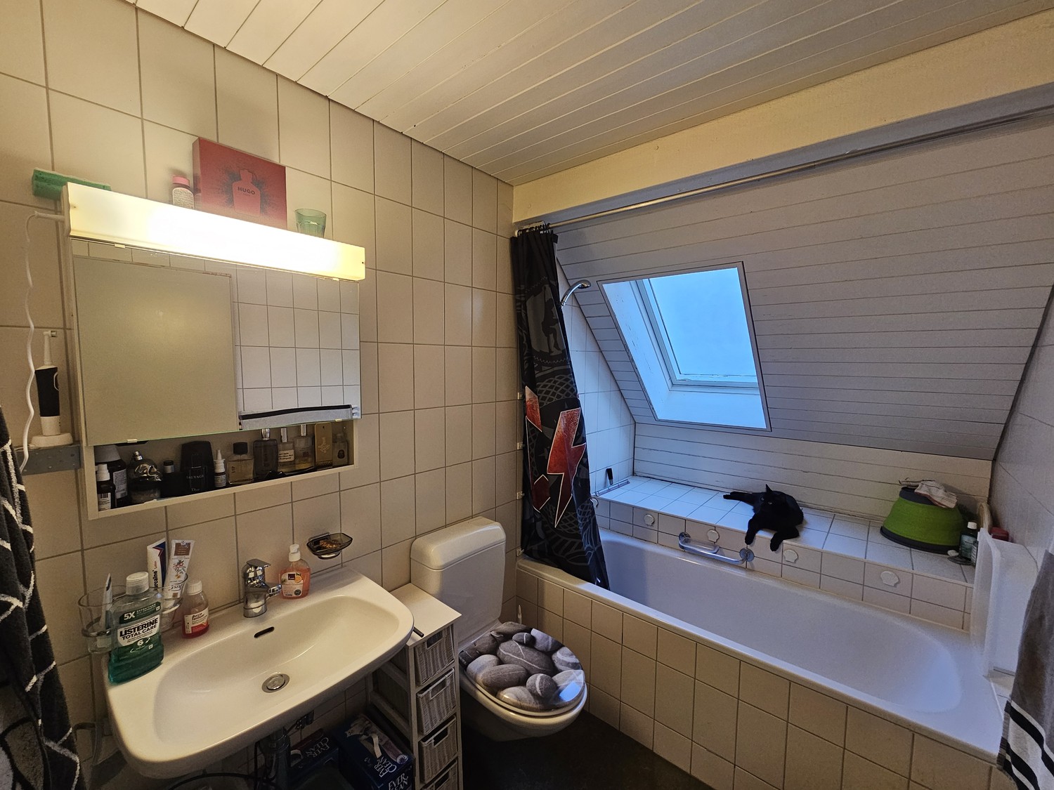 Appartement de 3 ½ pièces